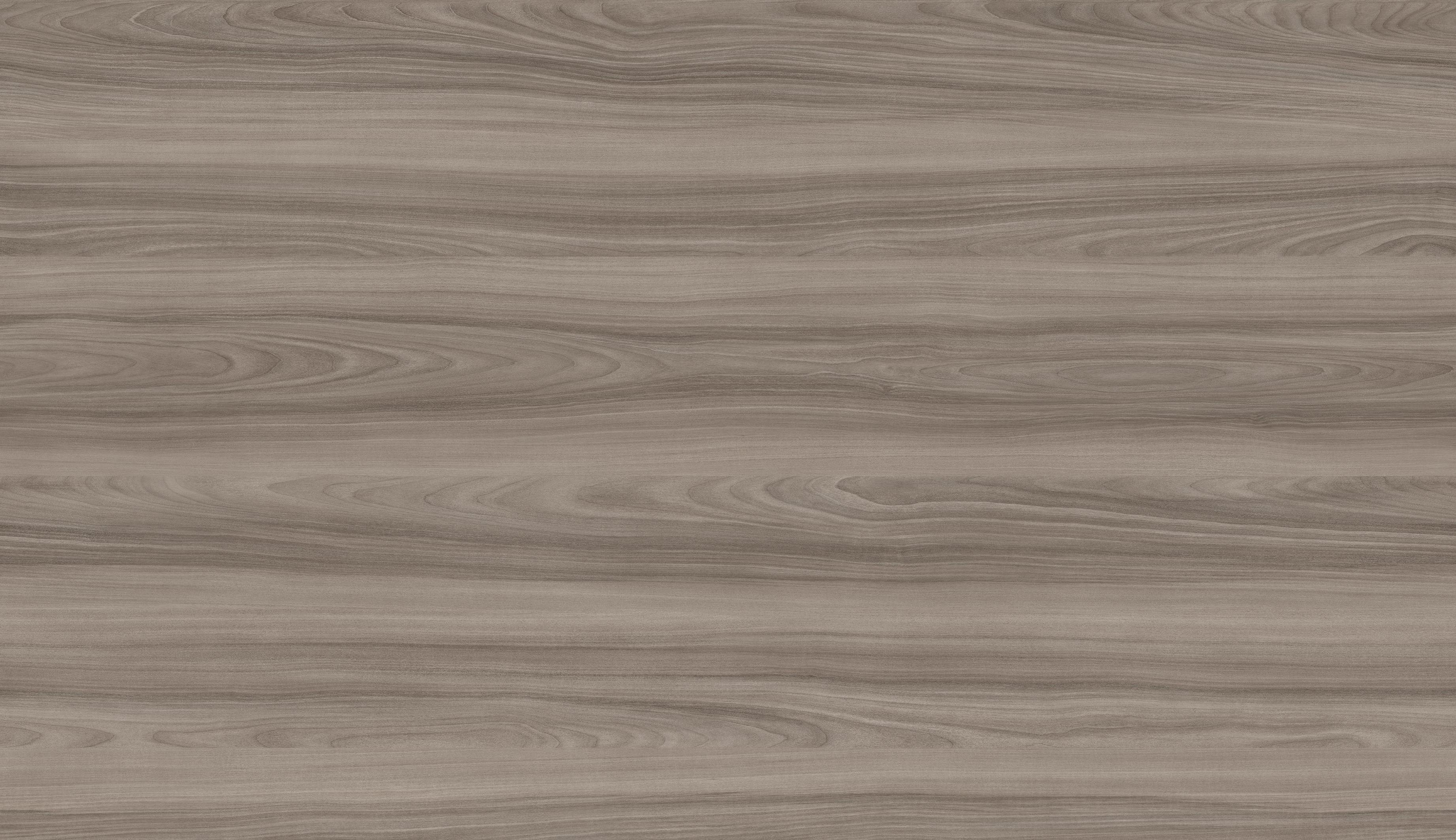 Эмили Блаш, U9135