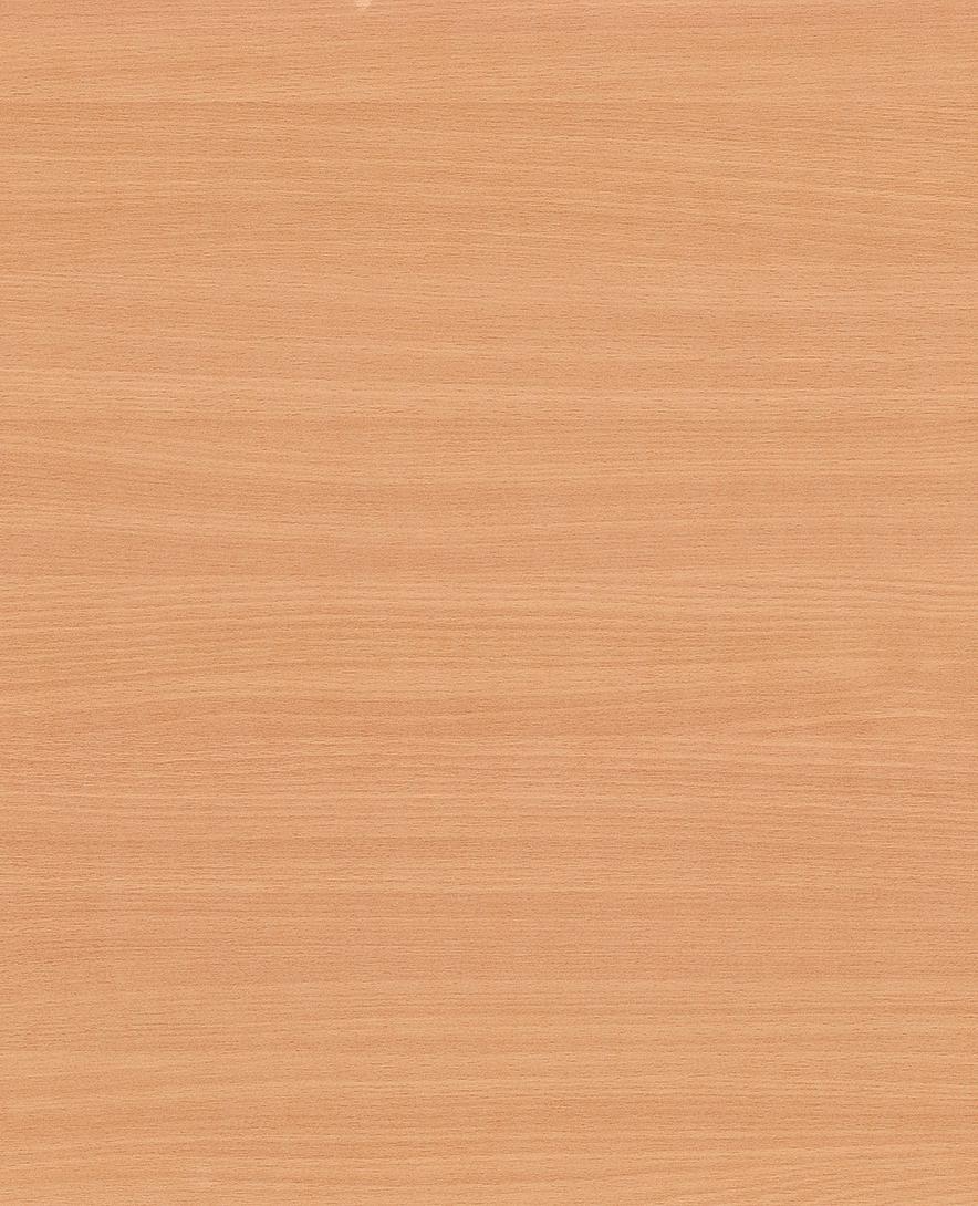 Бук Бавария  5113