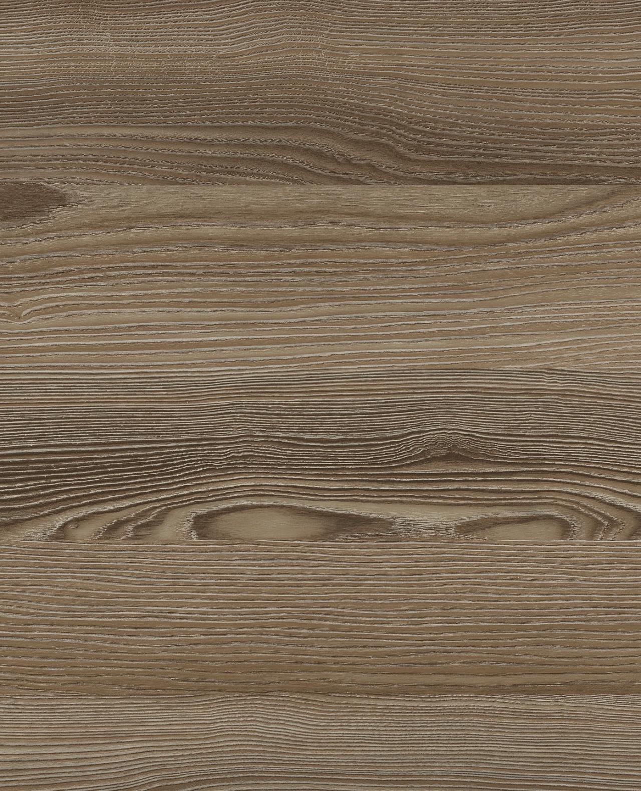 Ясень Рибера