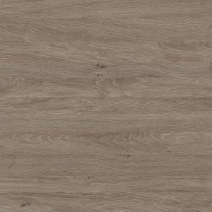 Дуб Верцаска U2130