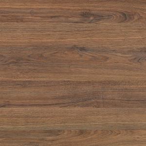 Дуб Аризона