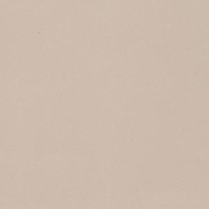 Фон Бежевый